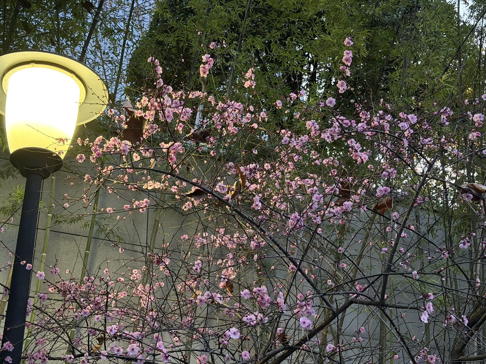 重庆,走到天黑 · 2
