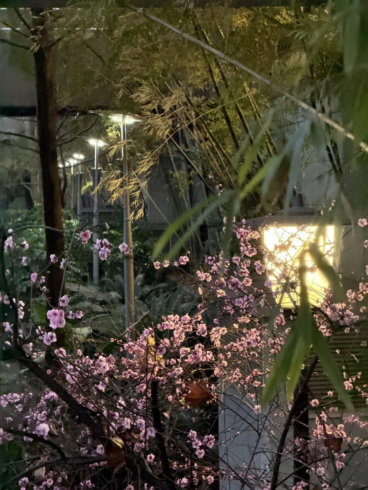 重庆,走到天黑 · 11